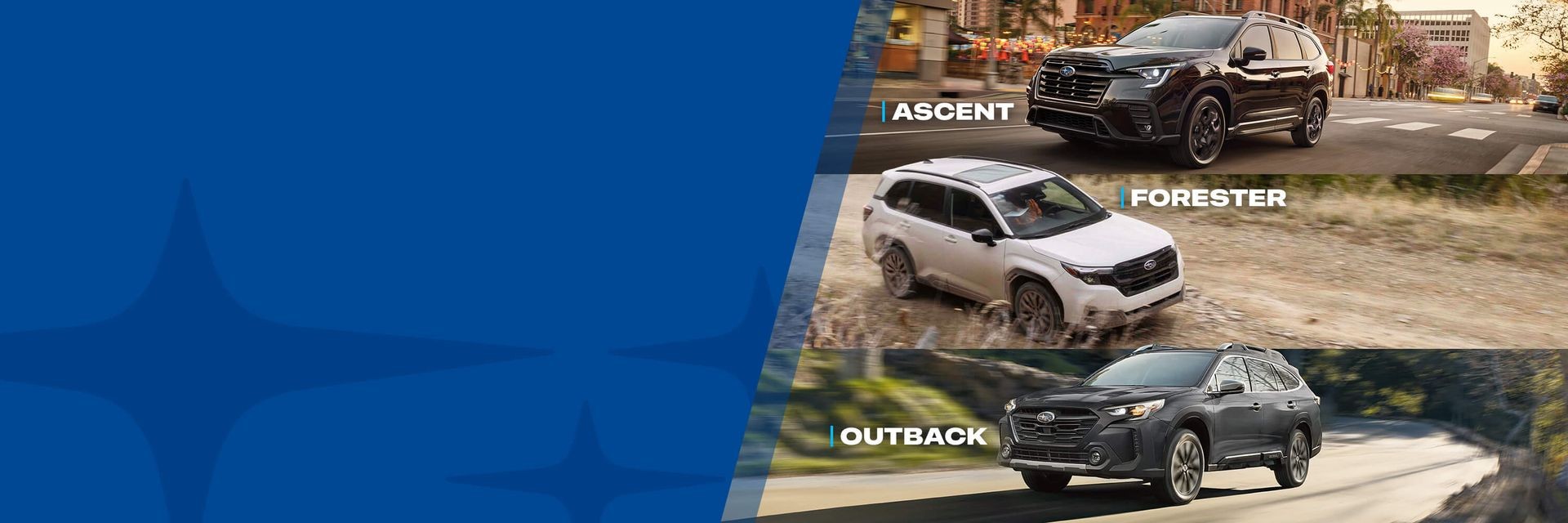 Ascent, Outback et Forester