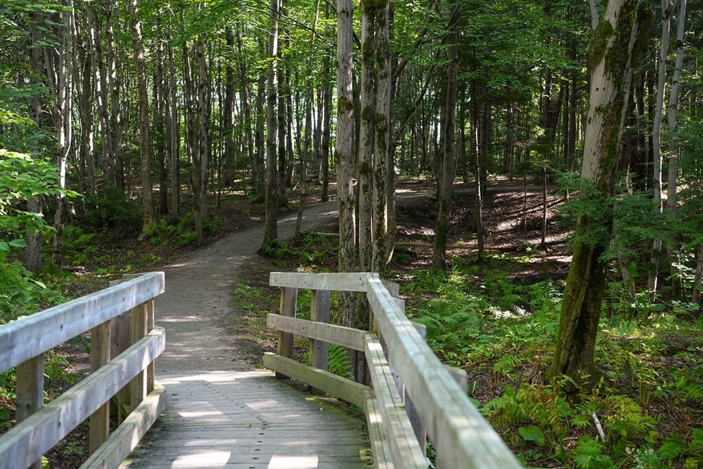 Parc de l’Escarpement, Lebourgneuf